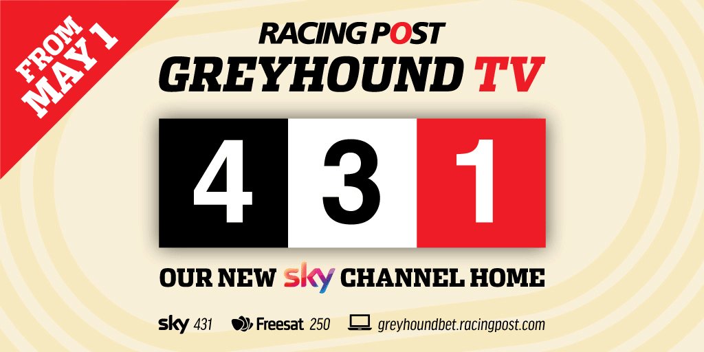 racing post greyhound result