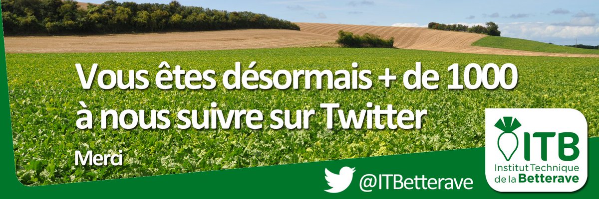 + de 1000 followers : merci ! 👏👍😃