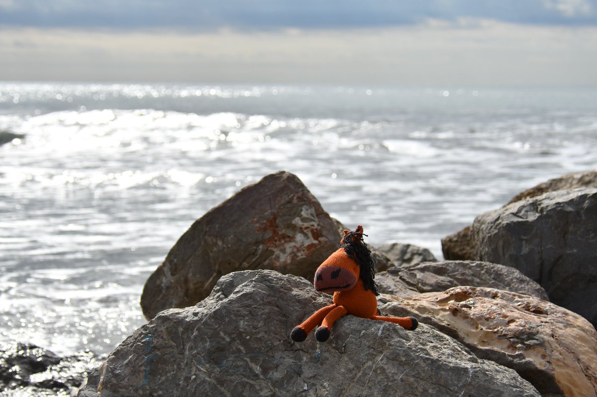 Kareltje geniet van een mooie ochtend aan de Middellandse Zee.
MijnWIjnPlein steunt <a href="/parapaardnl/">Parapaard</a> Doe jij ook mee? parapaard.nl