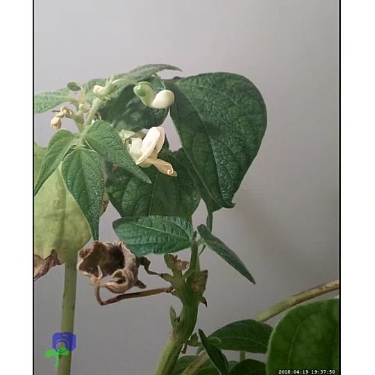 conceptiasis's tweet image. ift.tt/2r9LvhH