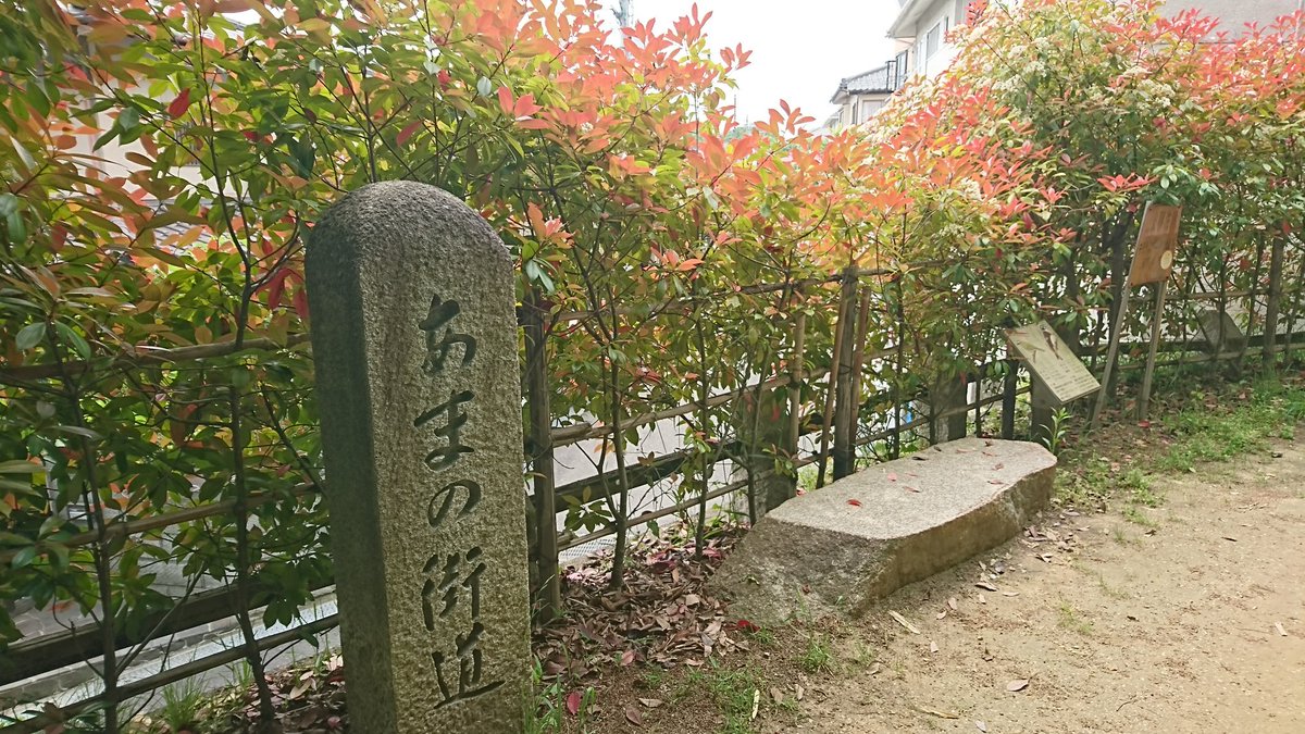 jyojyo_osaka's tweet photo. 今日はあまの街道。歩き疲れです😅 https://t.co/IzVCplGzP7