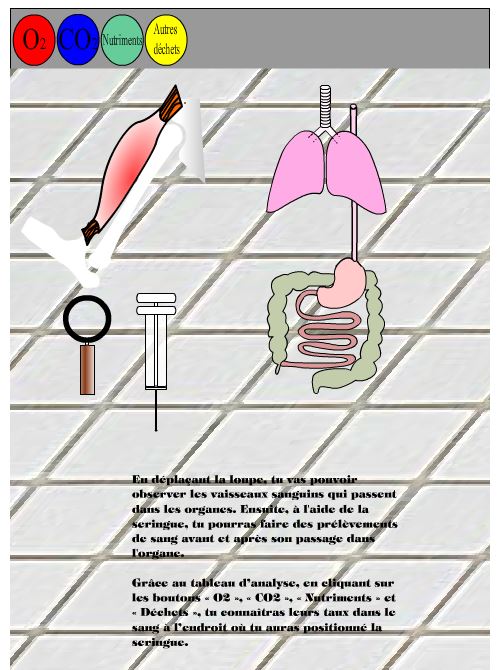 logiciel chapon logiciel chapon