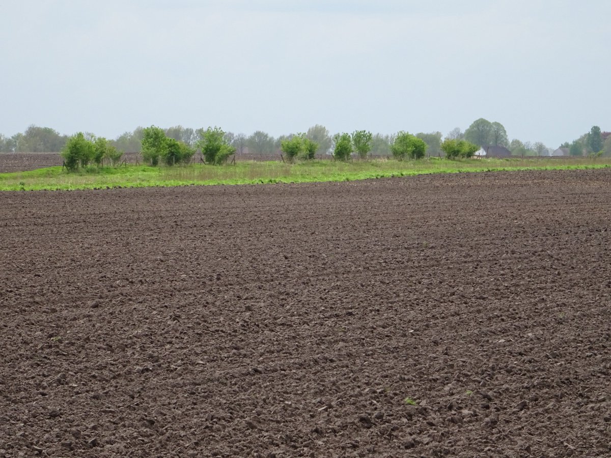 PHMulder1's tweet photo. Verbod #neonics goed voor #akkernatuur en dus maatsch.acceptatie van huidige #controlemodel(=instabiele teeltmethode). #LTO, steek energie in het kunnen doorberekenen van kostenstijging (via #GLB!) van milieuvriendelijker teeltmethodes(#adaptatiemodel), ipv deze tegen te houden. https://t.co/PC9Ue4d7ow