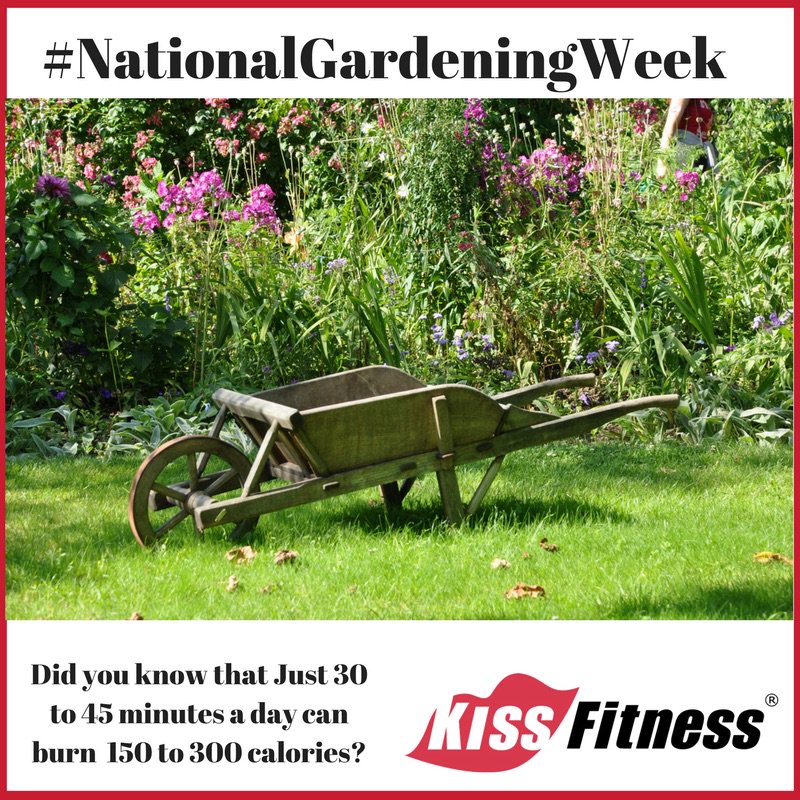 KFFrome's tweet photo. It is #NationalGardeningWeek!  Did you know that Just 30 to 45 minutes a day can burn 150 to 300 calories. (This doesn't mean just standing there watering the flowers, but weeding, digging, hoeing, raking and planting!) https://t.co/B2QbJqKvfI