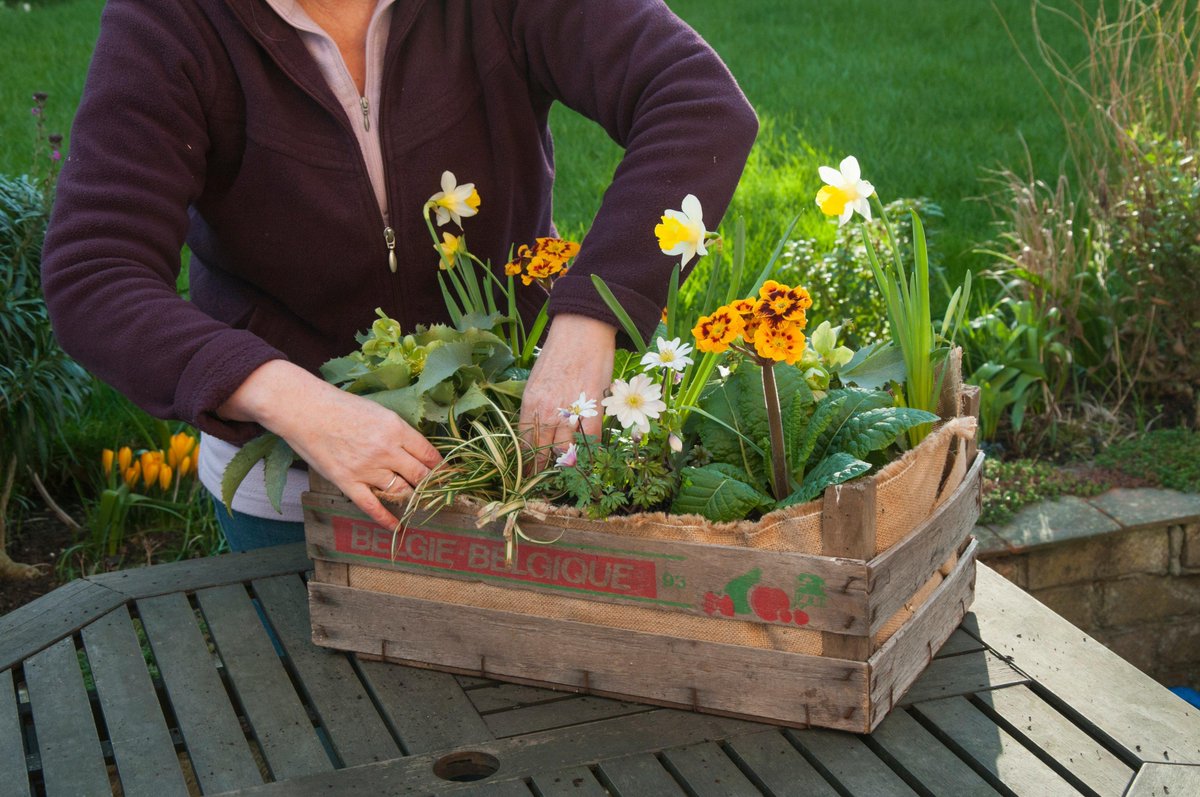 This week is #NationalGardeningWeek! Showcase your garden with #NGW and share your passion for plants. 🌱
nationalgardeningweek.org.uk