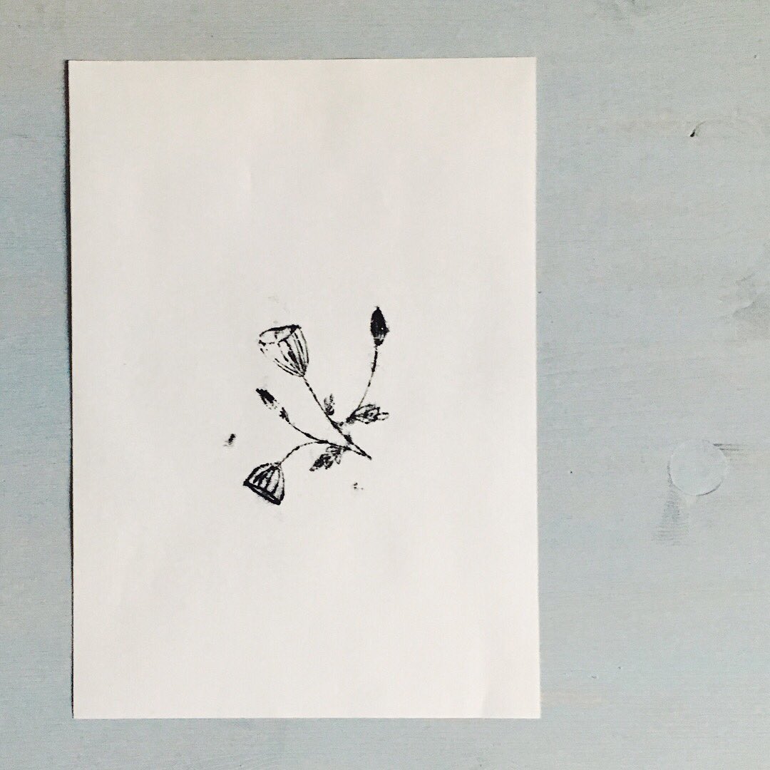 modernbotanics's tweet photo. finally I updated my shop with new work https://t.co/ryaOCsdQ0O https://t.co/54GnvtndFV