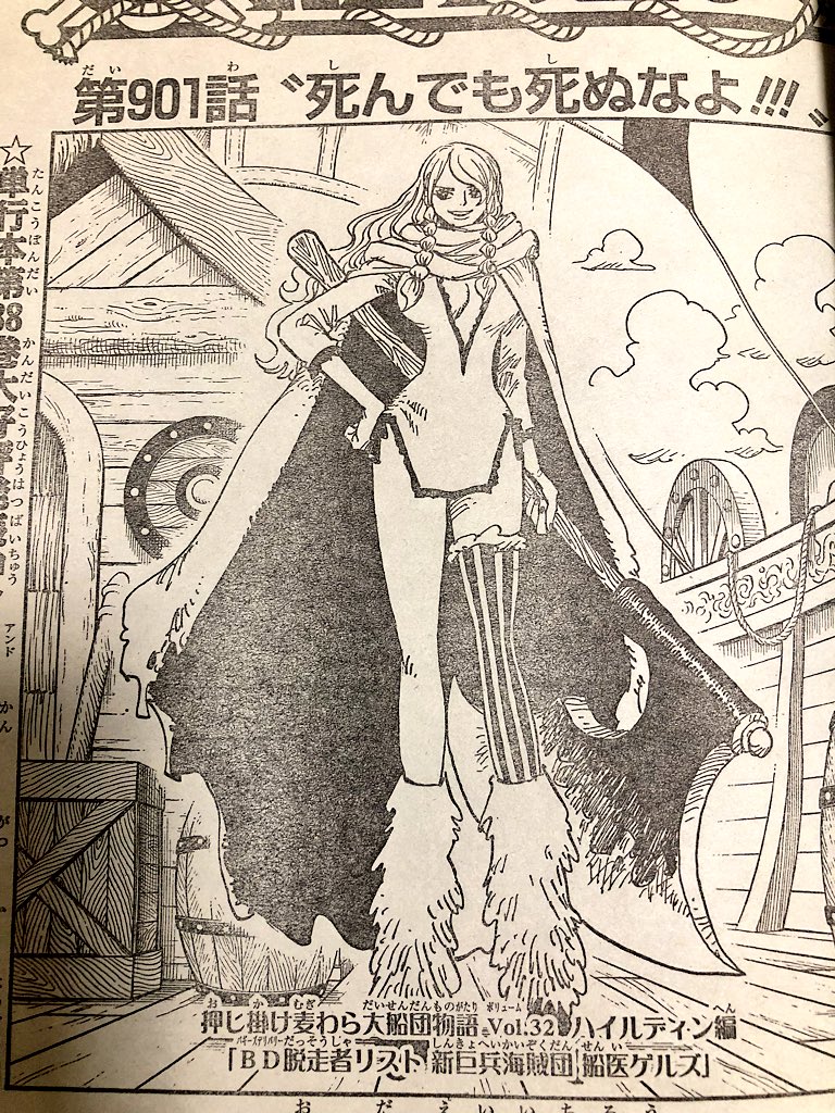 琉那 בטוויטר ジャンプの整理してて思い出したんだけど幼少期のビックマムと追いかけっこしていたゲルズちゃんが今は新巨兵海賊団にいるって ことはマザーも生きている可能性あるのかな ゲルズちゃん 船医って書かれているからもしかしたら回復系の能力者だったりして