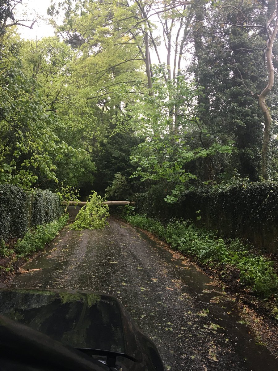 annabennett88's tweet photo. @MoleValleyDC tree down on Wonham Lane, Betchworth https://t.co/I1xJAaVPvl