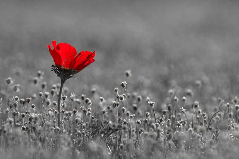 MessagePanda's tweet image. "The doctor diagnosed the problem I am suffering from. He says I lack YOU"