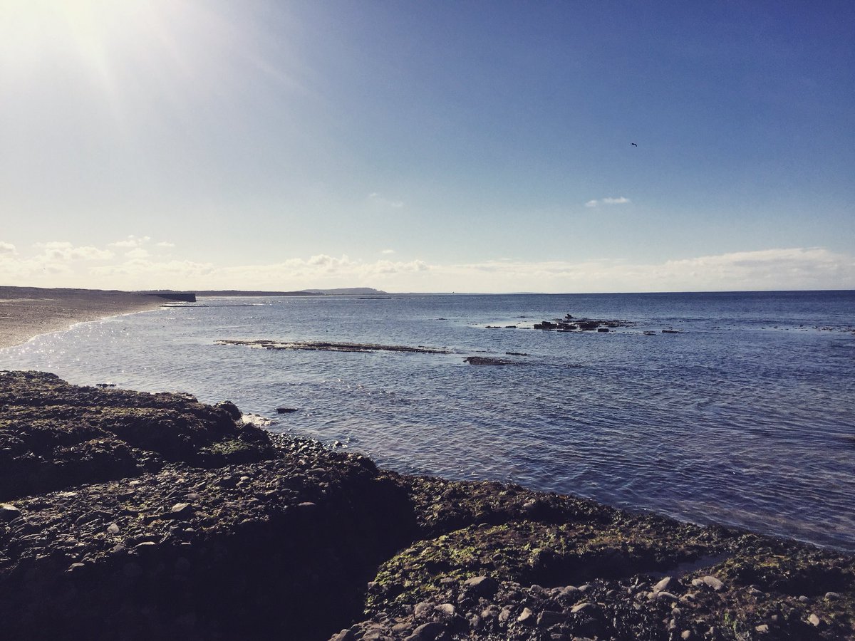 whiskytrailer's tweet photo. Coastal views are an excellent blend with whisky in Speyside Moray. Relax at Portgordon before discovering your next distillery🥃! #Moray #whisky #whiskytrailer #coast https://t.co/OmH2P6OatM