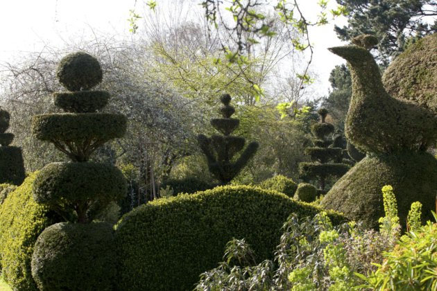 Kent Life tweet media