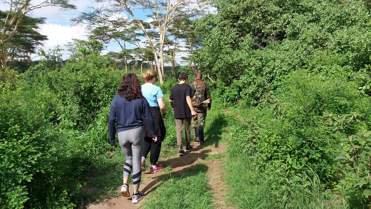 AxisAdventures's tweet photo. Safari Bushwalks.........
.
.
.
#TembeaKenya #MagicalKenya #Twendenicamping #whyilovekenya #Camping #Hiking #Safari  #Tembeakenyanamimi #AxisAdventures https://t.co/VRTUoKsKHC