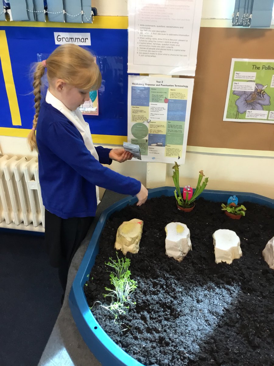 Y2BeechClass's tweet photo. We just LOVE spring time in Beech class! Check out how tall our cress has grown! 🌱 #spring #year2 https://t.co/HRY8Jm2BHs