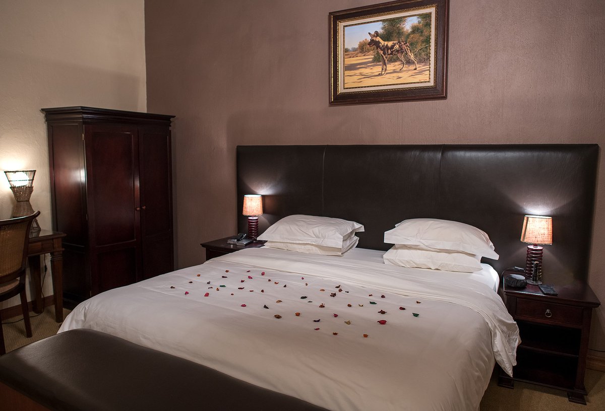 kaingo_reserve's tweet photo. Here at Kaingo's Elephant Lodge, we offer only the best quality  accommodation and our staff members are fully committed to making each  moment of your stay memorable. Please visit our website for more  information on https://t.co/fToRFDum3u https://t.co/lXoV0BIJaR