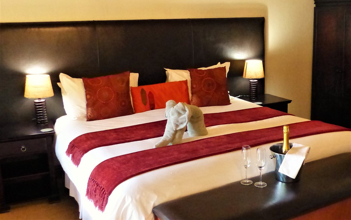 kaingo_reserve's tweet photo. Here at Kaingo's Elephant Lodge, we offer only the best quality  accommodation and our staff members are fully committed to making each  moment of your stay memorable. Please visit our website for more  information on https://t.co/fToRFDum3u https://t.co/lXoV0BIJaR