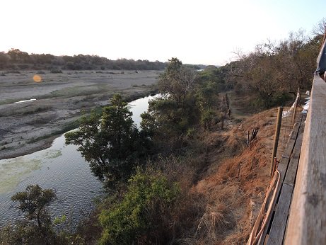 AmazingKruger's tweet photo. Its that time of Day and time for a #Nature dose and dinner
#MayDayIsFunDay
#MarlothPark
https://t.co/dPaeT7kFYp
@adstube @afrivenues @discoverkruger1 @mphappenings @nroutessa https://t.co/Apwye2BEu7