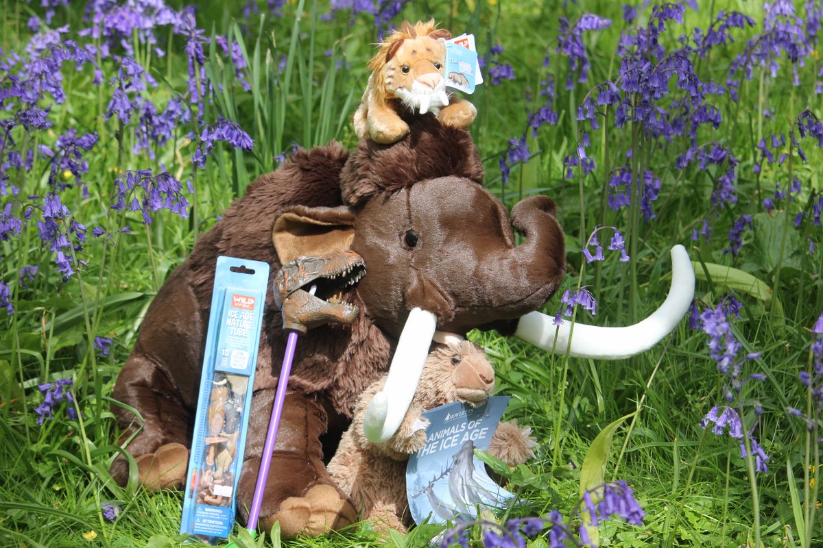 Animals of the Ice Age is going on tour! If you spot our Coelodonta on tour, snap a picture and share it to Facebook, Instagram or Twitter using the hashtag #iceageontour and you could win this super cool goodie bag and a year’s membership to Howletts!