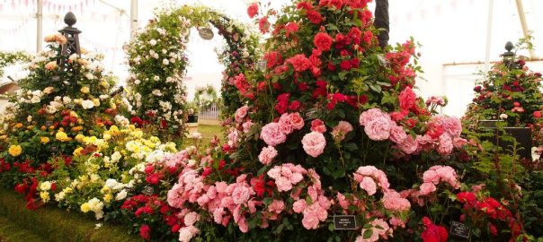 pumpkin_beth's tweet photo. #Plants are part of every aspect of our lives. Here are some lovely ways to #CelebrateLife and to #Celebrate those we love. If you're having a #SadTime I hope this article helps you: #Memorials #FuneralPlanning #FuneralHelp #FuneralIdeas #MemorialIdeas
https://t.co/Ki4PX8oihZ https://t.co/U4DvHIfnp2