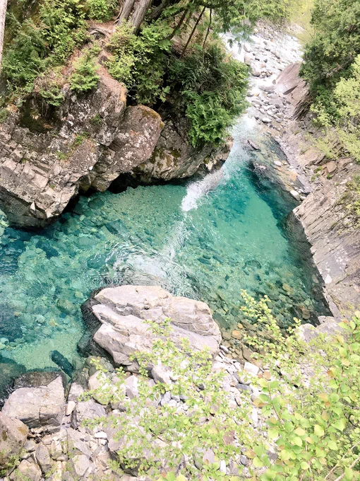 阿寺渓谷にも行ったけどここは定期的に行きたくなる…水がとんでもなく綺麗で、深い場所は鮮やかなエメラルドグリーンで見てるだけで癒されます…写真じゃ良さがあまり伝わらないのが残念>< 