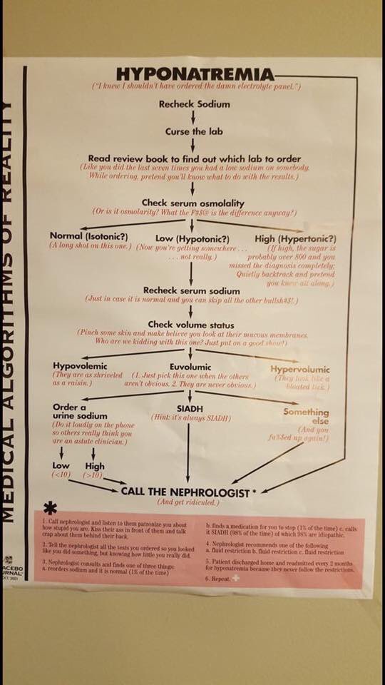 LeGazier1's tweet photo. Algorithme de l’hyponatremie pour les nuls https://t.co/HQMGtyCXJL