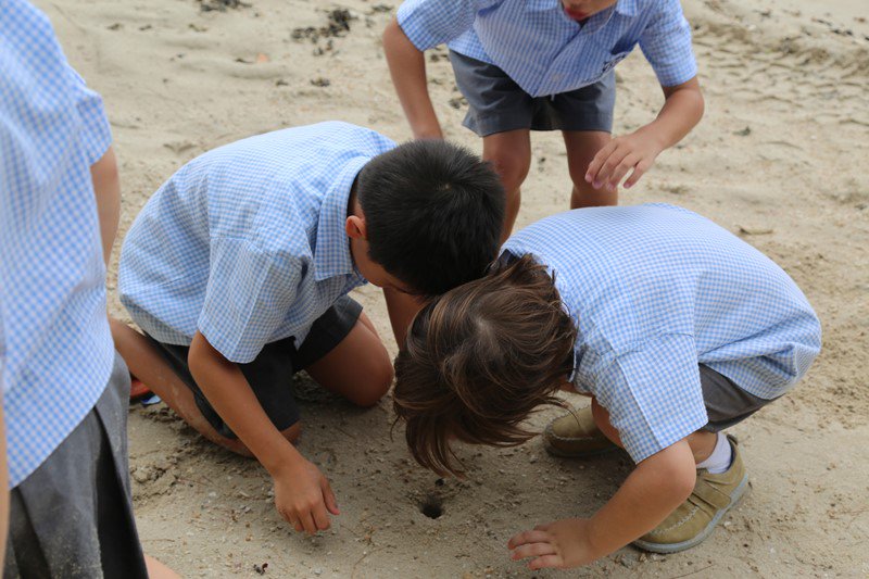 ISSamuiOfficial's tweet photo. #Year1 went on a sensory #Literacy trip to the beach. They described the place using sense of smell, touch, sight &amp; hearing. The pupils also spotted a floating bottle with a message from a marooned pirate! They took it back to school &amp; will work hard to help the stranded pirate! https://t.co/NKagCe2L83