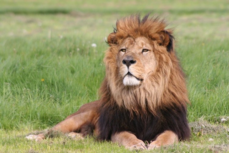 You must go and visit Longleat Safari Park in Wiltshire not too far from Bath. One of the best examples of Elizabethan Architecture! #MyFeelGoodBath #VisitBath #IgersBath #BathSpa #CityOfBath #VisitEngland #LoveGreatBritain #BathUK #BathStreet #BathStone #SwIsBest #BathHoliday