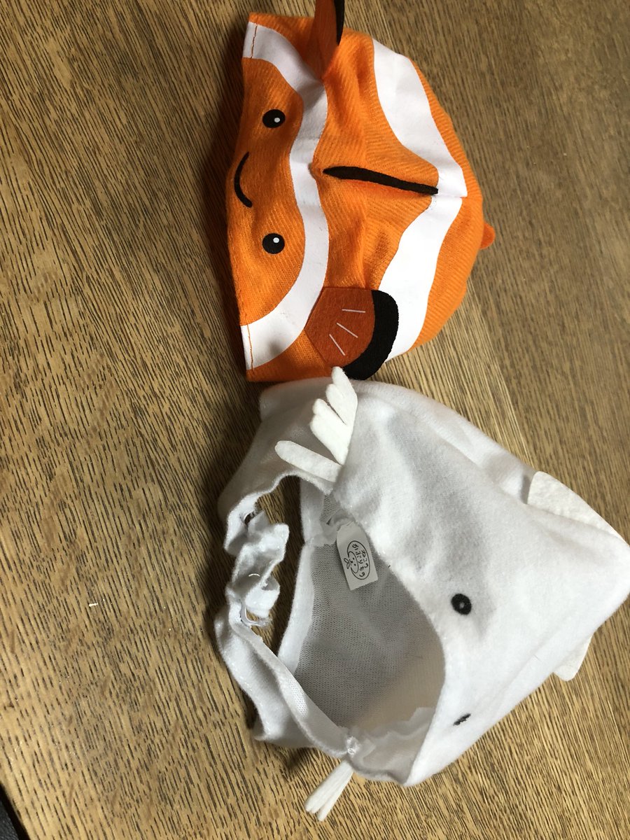 itagures's tweet photo. クマノミ&amp;イカ https://t.co/0VjQdOFG4n