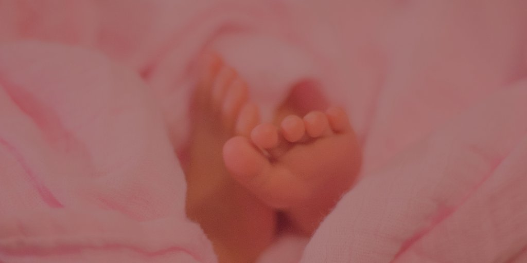 Wool Digital tweet media