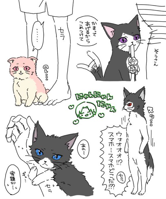 イベントやら羨ましいから友達とのオリキャラを猫化したにゃんこで楽しむのだ 