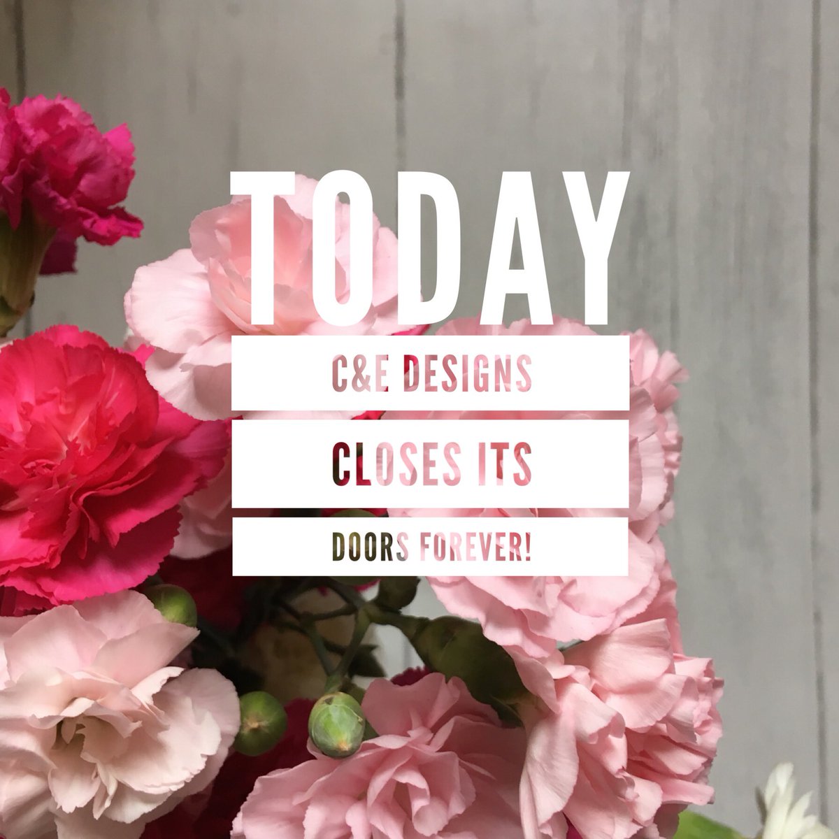 C&E Designs tweet media