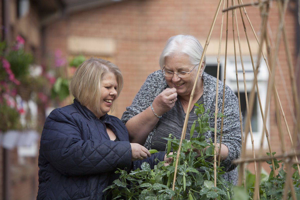 Do you need funding to help kick start a community allotment? <a href="/Tesco/">Tesco</a> #BagsofHelp can help! Find out more: groundwork.org.uk/Sites/tescocom… 

#NationalGardeningWeek