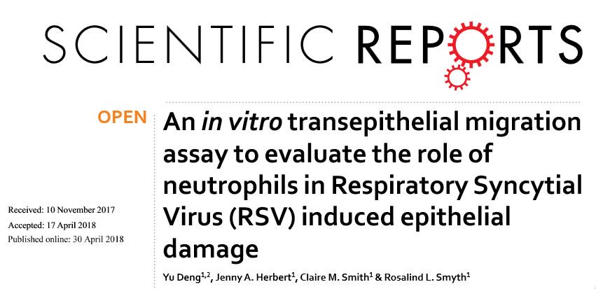 Check out the latest paper in <a href="/SciReports/">Scientific Reports</a> from <a href="/Dr_ClaireSmith/">Dr Claire Smith</a> and Ros Smyth’s team at @UCL_ICH using a novel method to show the destructive role #neutrophils play in development of severe #RSV  #bronchiolitis  rdcu.be/MY3P