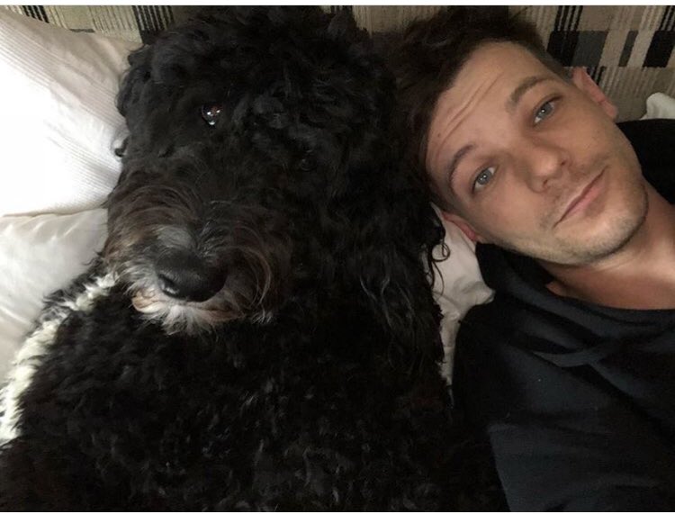 franlouistar's tweet photo. Omg Louis’s haircut. Everything is wow in this pic https://t.co/OaYmRdOHvO