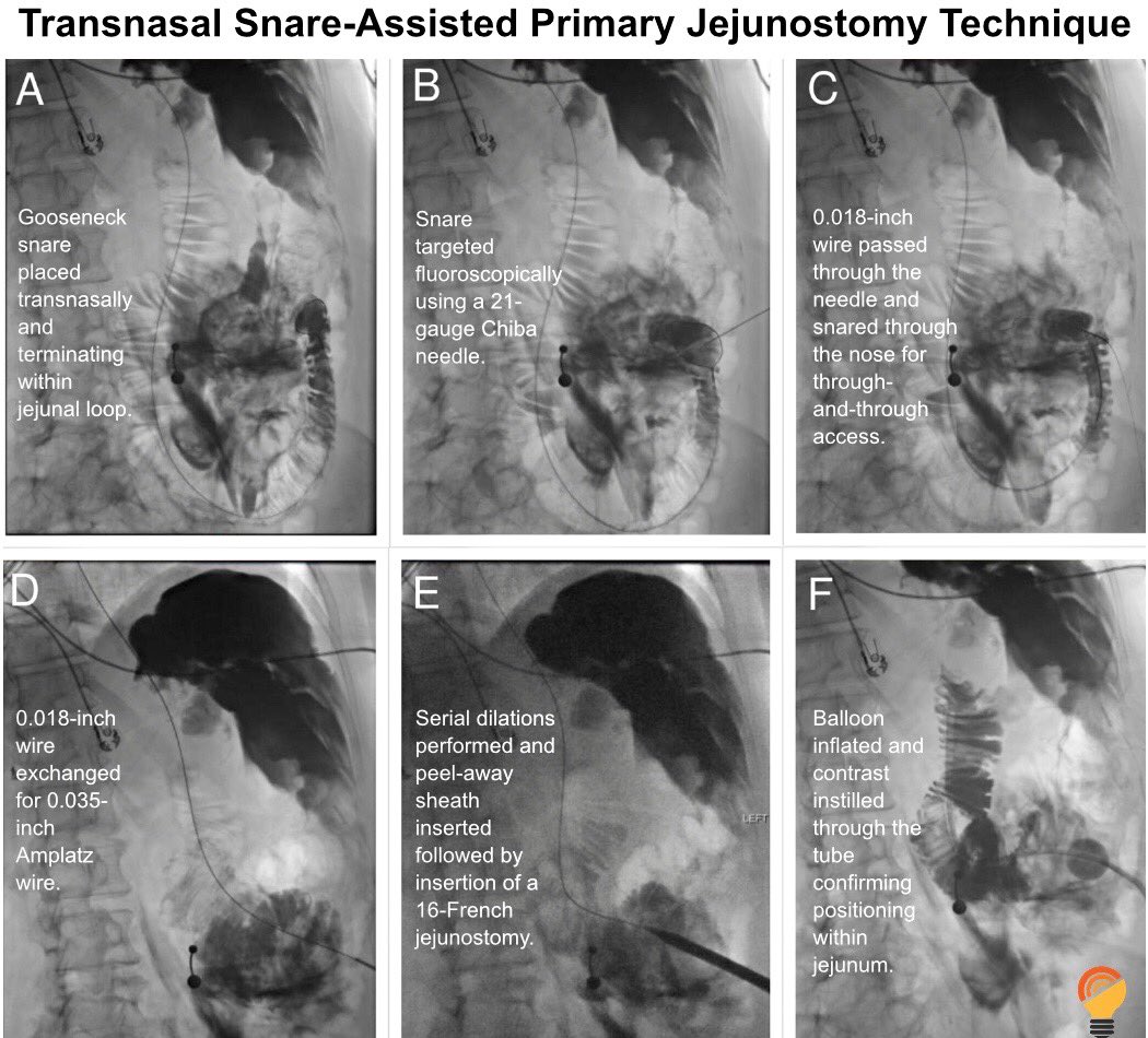 IRad Lab tweet media