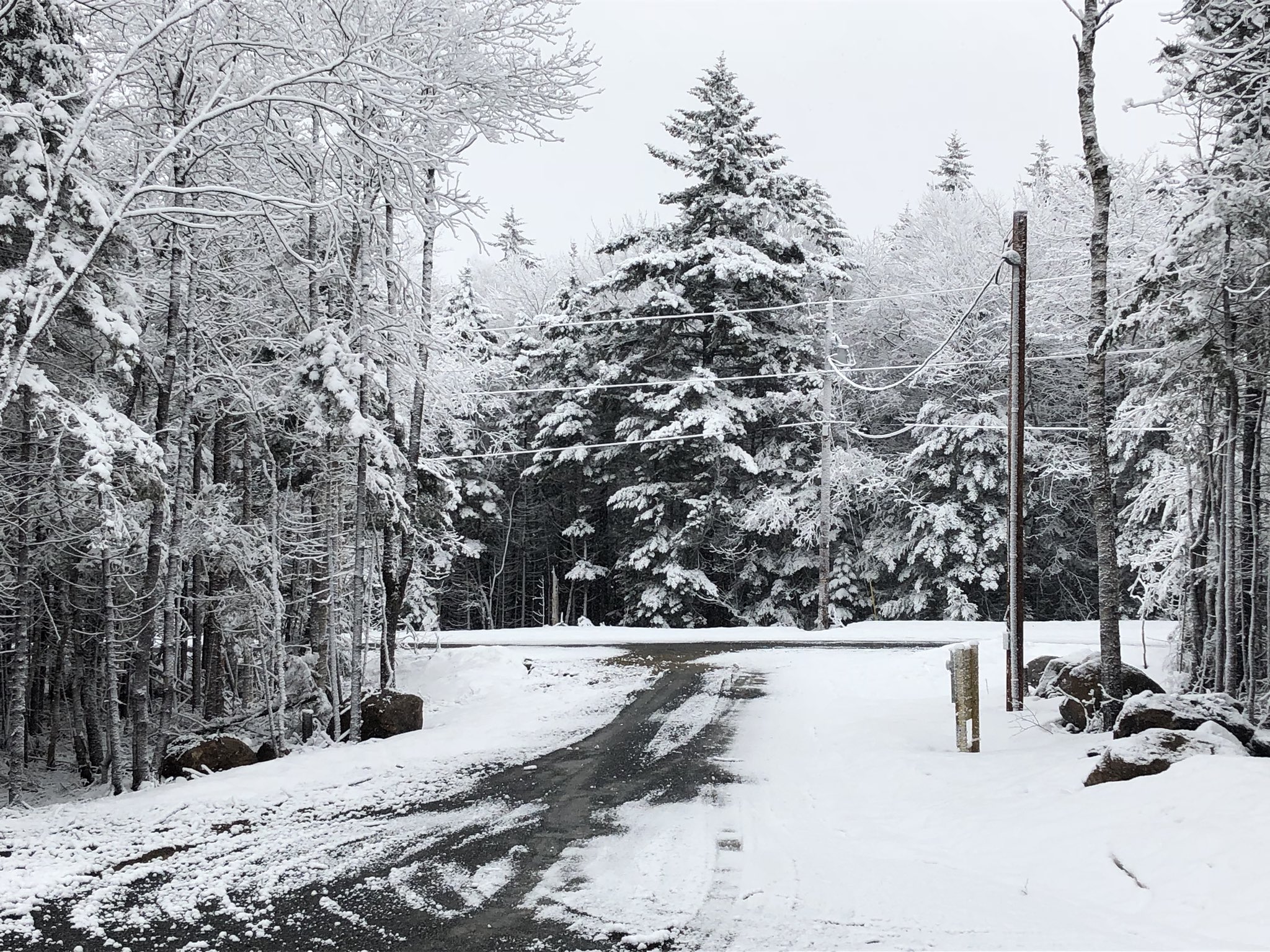 Mitch on Twitter "2.5” of new snow on the cold surfaces at 2,230’ elevation in southern Vermont