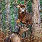Photo by Hunting Family (@HuntingFamily1)
