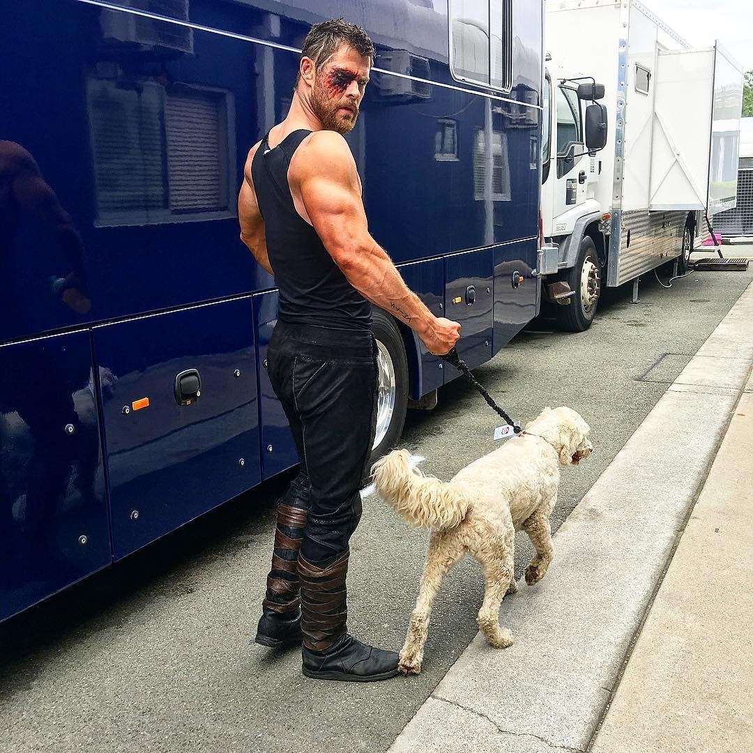 หมีพาหมาเดินเล่นทั้งงี้เลยนะ 😂
ปล.กล้ามเท่าหัวที่แท้ทรู instagram.com/p/BiMWavGB9Gk/