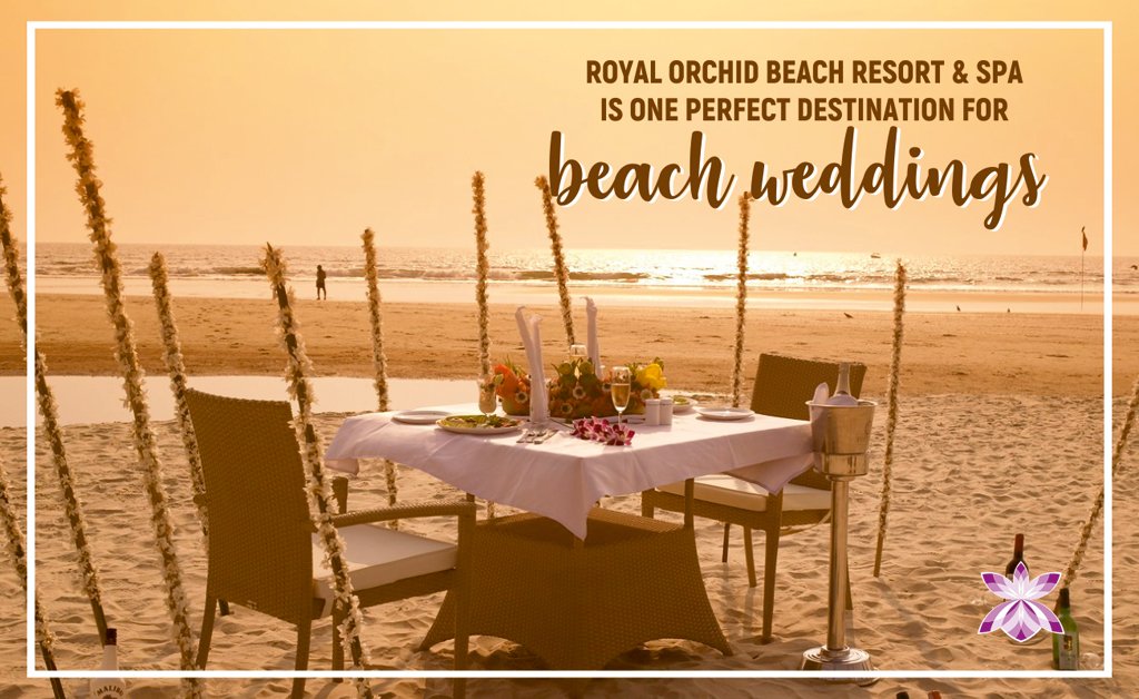 Looking for a Beach Wedding Destination? Know more: royalorchidhotels.com/royal-orchid-b…
#BeachWeddings #WeddingDestinationsinIndia #GoaWeddingDestination #WeddingDestinationinGoa #GoaWeddings