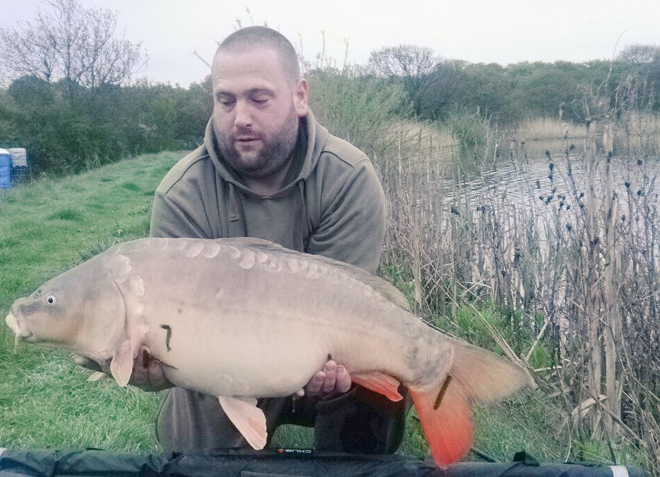 EarlsHallFish's tweet photo. The Top Lake has been on top form lately with the fish now getting on with lots of feeding. Below is a small selection of the many fish banked over the weekend. As usual most of the fish caught on our feed Bait @CW_Baits V12 food source boilies. https://t.co/eIqW6zx8Fv