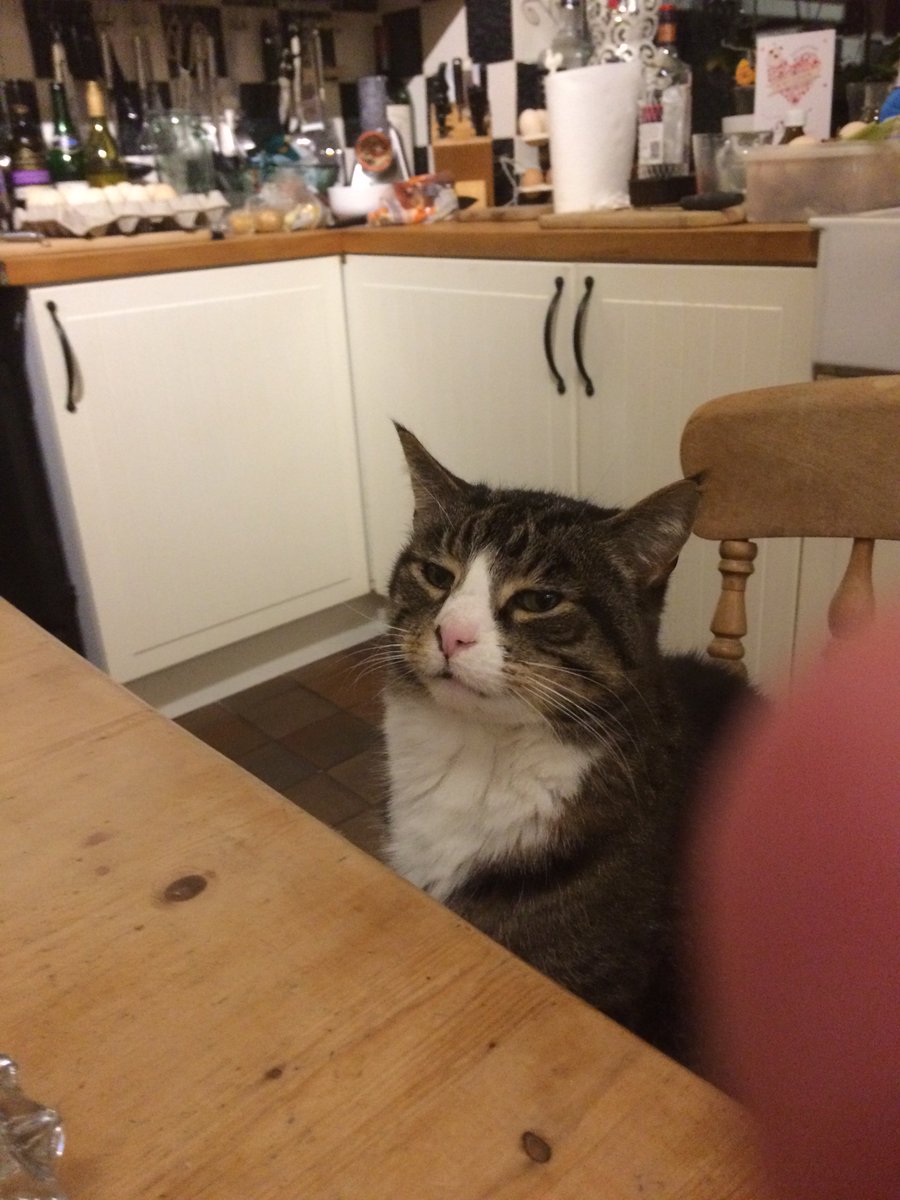 AlcesterFoodFestival tweet media