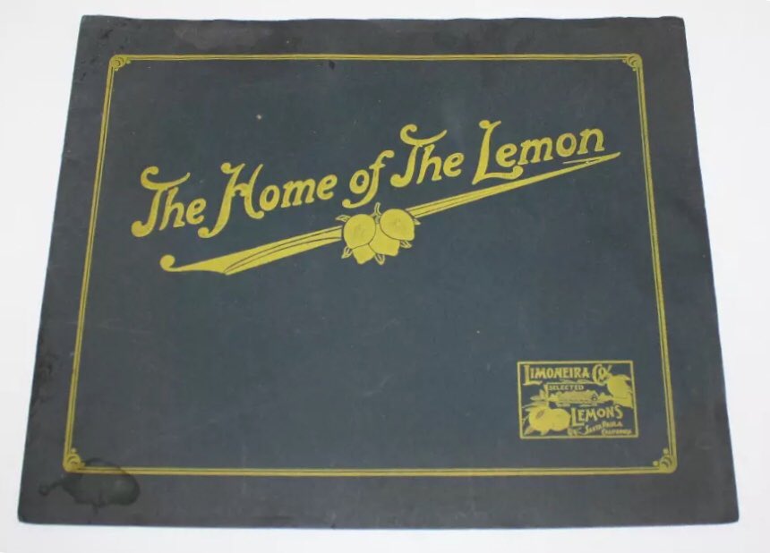 christashima's tweet image. just paid $40 for a very old booklet. 💸📚📷 Curious to get a close look at photos—Gpa (MK), his brother (JK), and Great Gpa (Monda) Inadomi worked for @LimoneiraCo in the #1920s, as fruit pickers.🍋 #ebay #Limoneira #SantaPaula