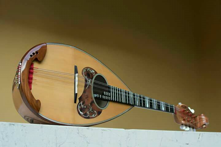 AnnalisaDesi1's tweet photo. If you love the mandolin follow me 🎵🎶🎼❤
#mandolino #mandoline #mandolin #music #musica #musike #mandolinteacher #violinteacher #musicteacher #mandolinlesson #violinlesson #calacemandolin #modernmandolin #mandolinonapoletano https://t.co/LgqKal7PPW