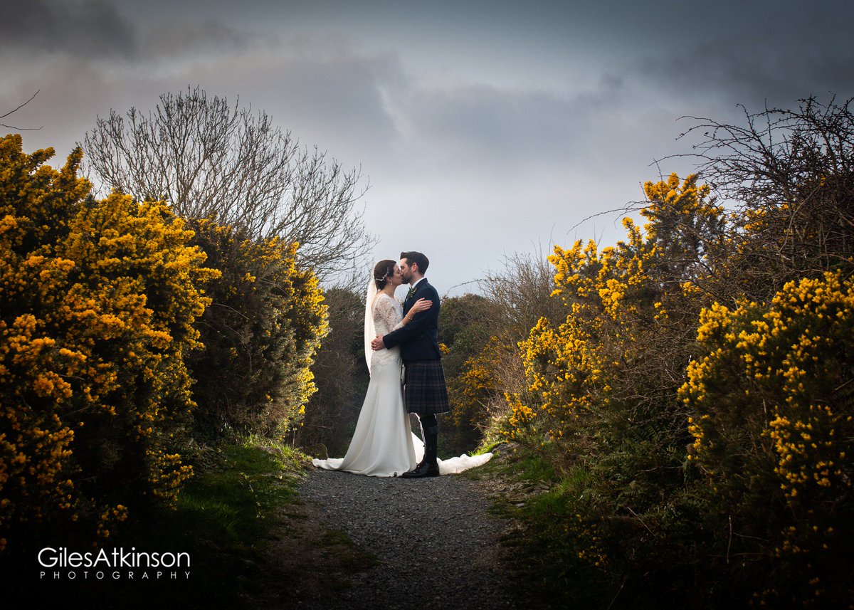 geeewizz's tweet photo. "When gorse is out of bloom, kissing is out of season". #ggsyard #mossyard #scottishwedding #scottishweddingphotography https://t.co/3AzClGnQi7