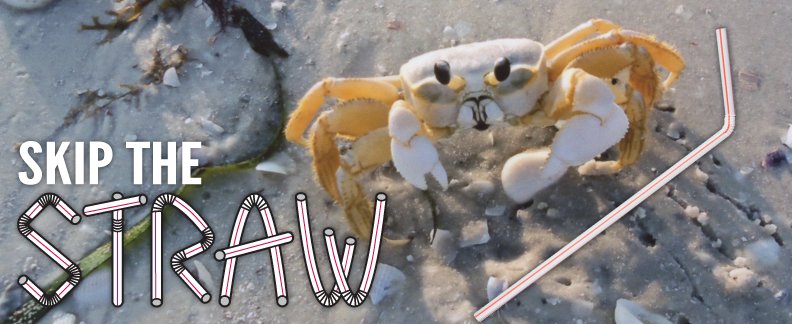 Straws &amp; litter make beach dwellers crabby! To help keep the beach clean and wildlife happy, vendors at Fort Zachary Taylor, Fort Clinch and Delnor Wiggins Pass state parks do not stock straws. You can help, too. #SkipTheStraw. Learn more at FloridaDEP.gov/SkipTheStraw #FLStateParks