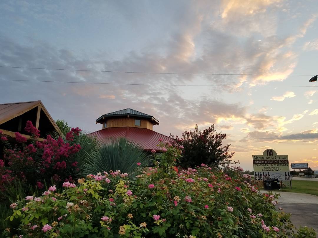BestOfTXHillCo1's tweet photo. #mendelbaumcellars A beautiful winery with award winning wine. #TexasWine #txwine #FredericksburgTx
#wineroad290 https://t.co/toG9XNHqeX