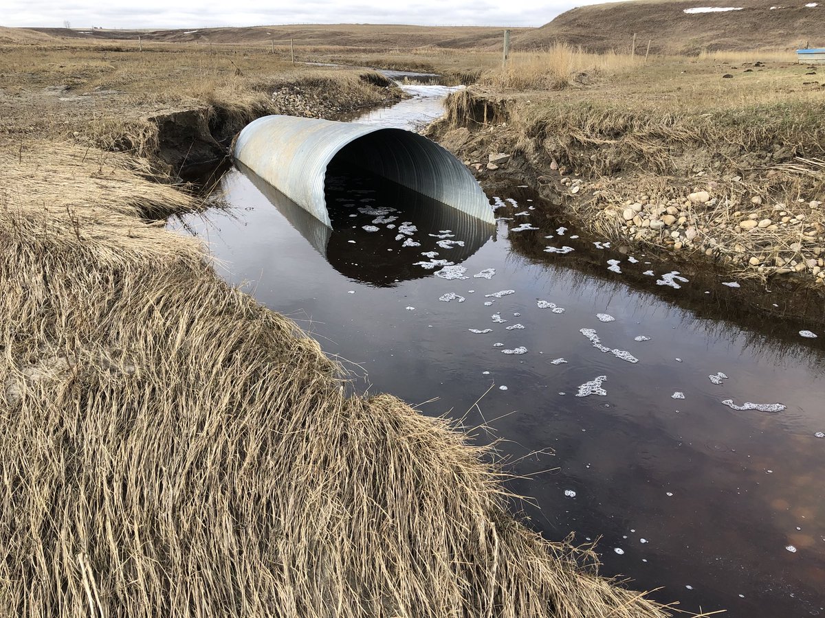 Well that didn’t work like it was supposed to. It WAS a really nice creek crossing. #springrunoff #flooding #tryagain #grazingmanagement 😔😖