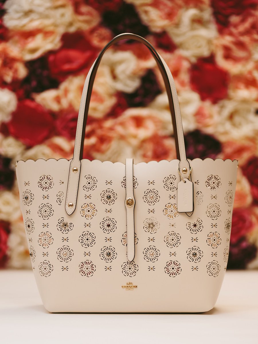 FenwickStores's tweet photo. An iconic @Coach silhouette since the early 1960's, the leather tote gets a summer-ready update with pretty scalloped edging and cut-out details. Discover this bag in our Handbag Department on our #FenwickNewcastle First Floor π·#FenwickMagazine #Fenwick #NE1 https://t.co/UaLSENqgg9