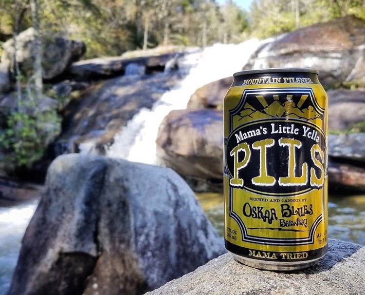 oskarblueswnc's tweet photo. Lots of sunshine in the forecast this week. Getchyer Mama's outside! 
#OBoutside
#MLYP
📷: @gkmull https://t.co/W7cJ389X1D