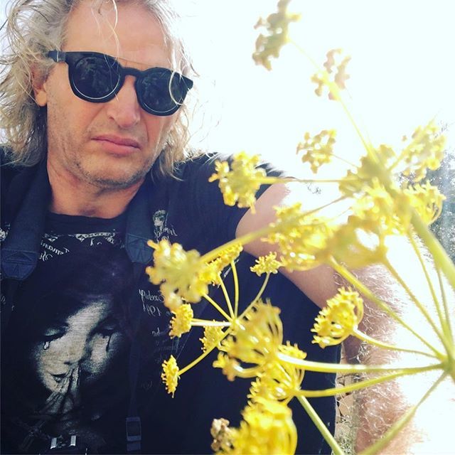 JosephSimcox's tweet photo. This is now one of my favorite root crops! Ate my first one in Central Jordan! Sweet and delicious! This should be grown everywhere that carrots are grown!!!!! #explorewithjoseph https://t.co/x8D3IBTrTO