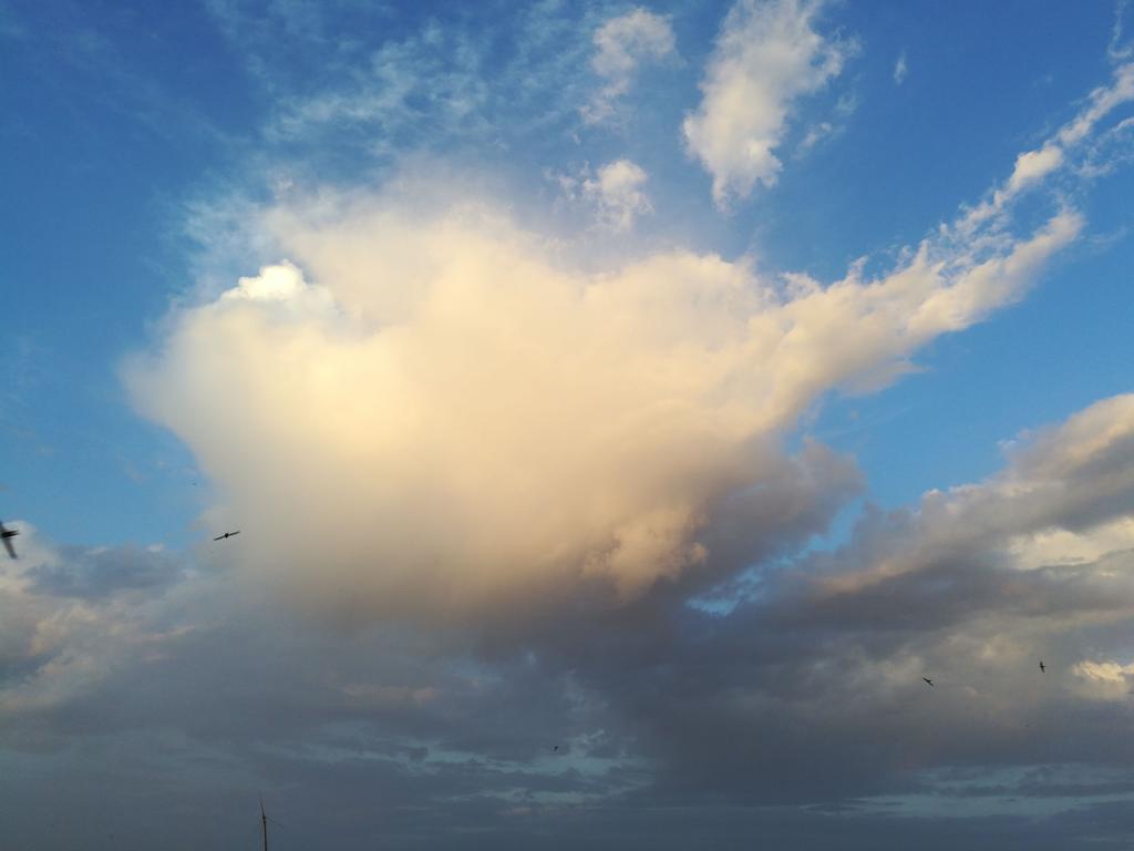 تصويري هذا اليوم